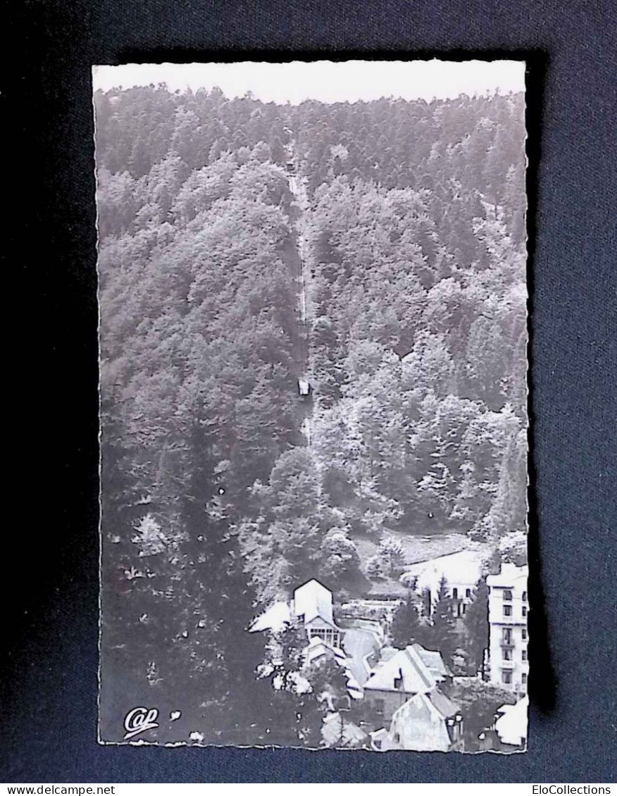 Cp, Chemin De Fer, Le Funiculaire, 63, Le Mont Dore, Voyagée 1956, Ed. Cap - Funiculaires