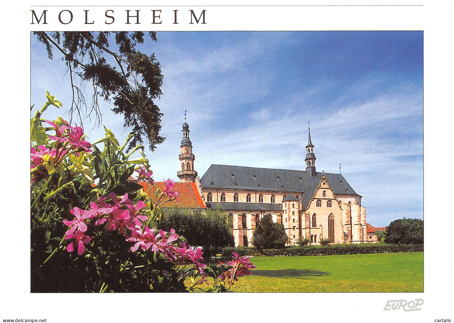 67-MOLSHEIM-N°3946-A/0235 - Molsheim