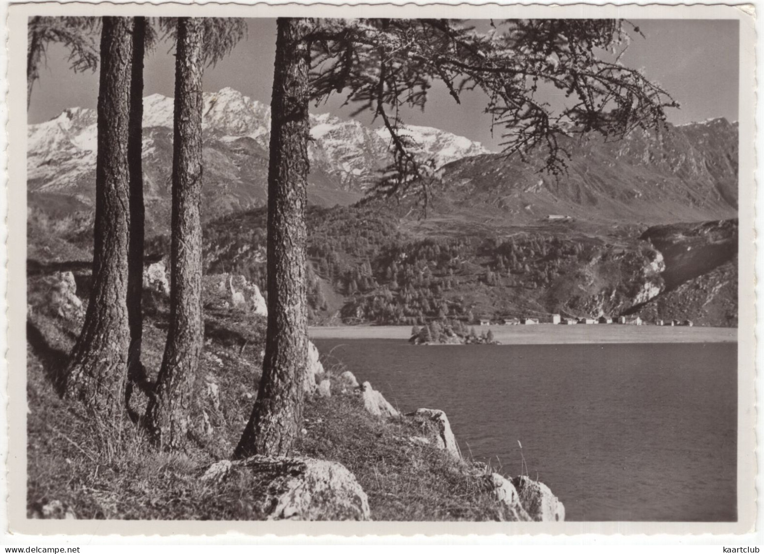 Blick Von De Malojastrasse über Den Silsersee Gegen Piz Corvatsch Und Isola - (Suisse/Schweiz)  - 1969 - Autres & Non Classés