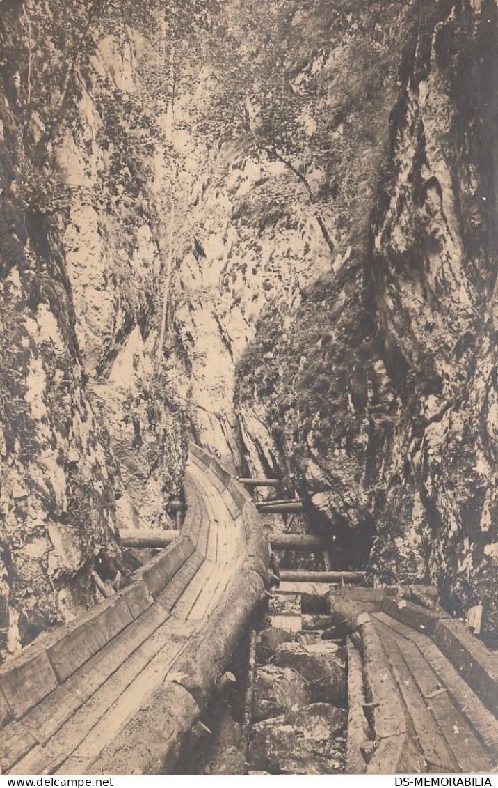 Oštrelj - Logging , Eksploatacija Drva Ca.1920 - Bosnie-Herzegovine