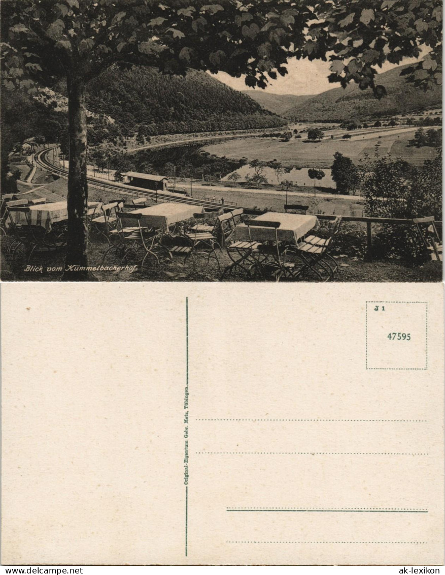 Ansichtskarte Neckargemünd Blick Vom Kümmelbacherhof, Bahnhof 1912 - Neckargemuend