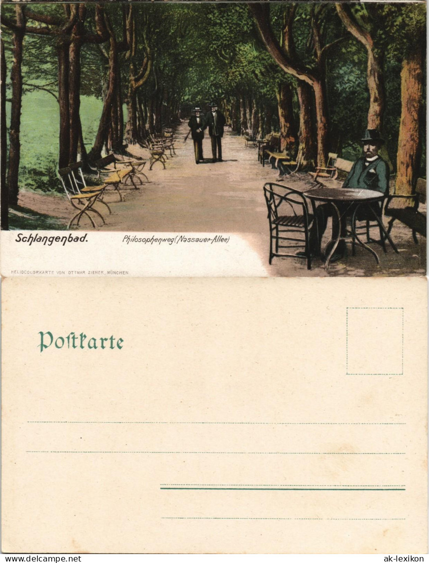 Ansichtskarte Schlangenbad Philosophenweg (Nassauer-Allee) 1908 - Schlangenbad
