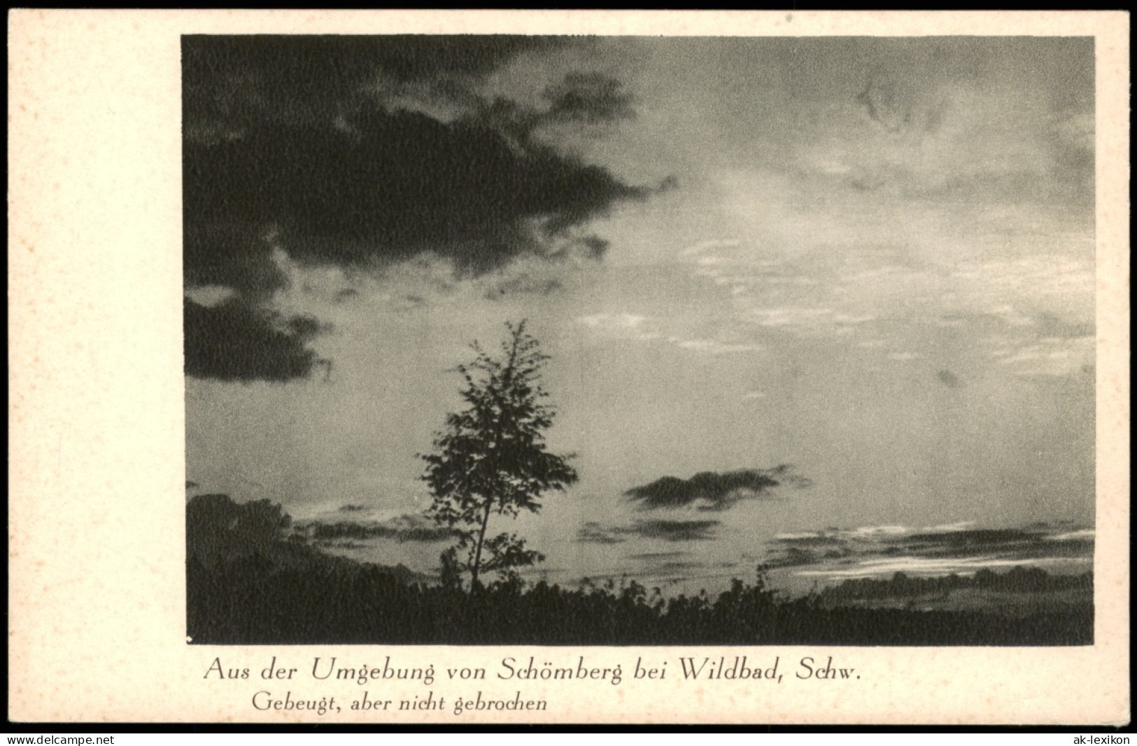Schömberg (Schwarzwald) Umgebungs Schwarzwald Stimmungsbild 1940 - Schömberg
