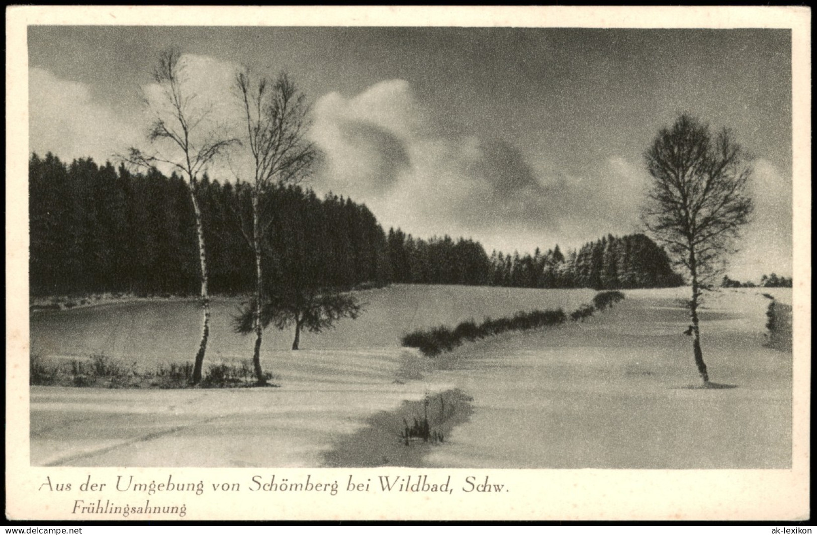 Schömberg (Schwarzwald)  Frühlingsahnung  Schwarzwald, Stimmungsbild 1940 - Schömberg