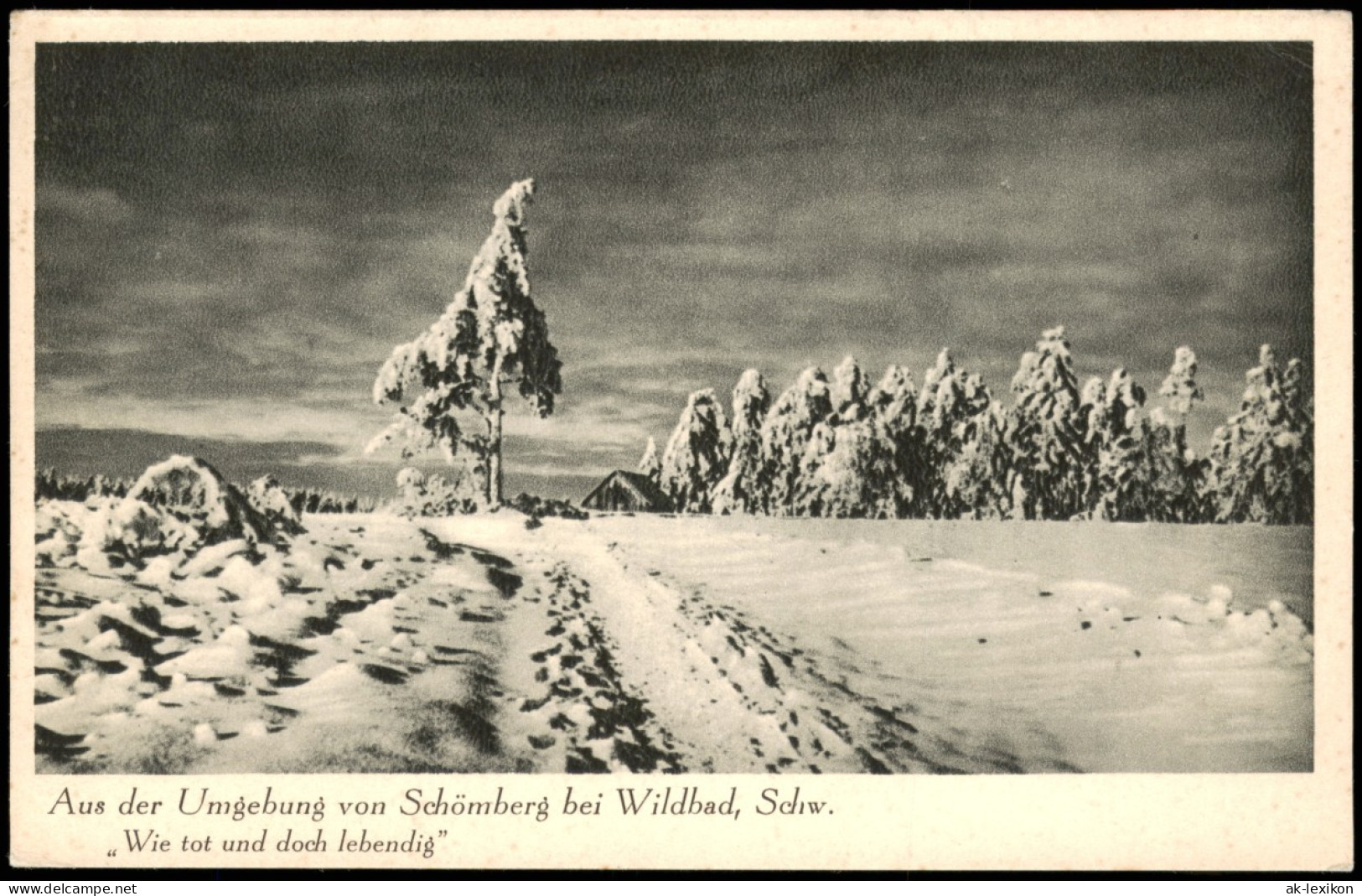 Schömberg (Schwarzwald) Umland-Ansicht Verschneiter Schwarzwald 1940 - Schömberg