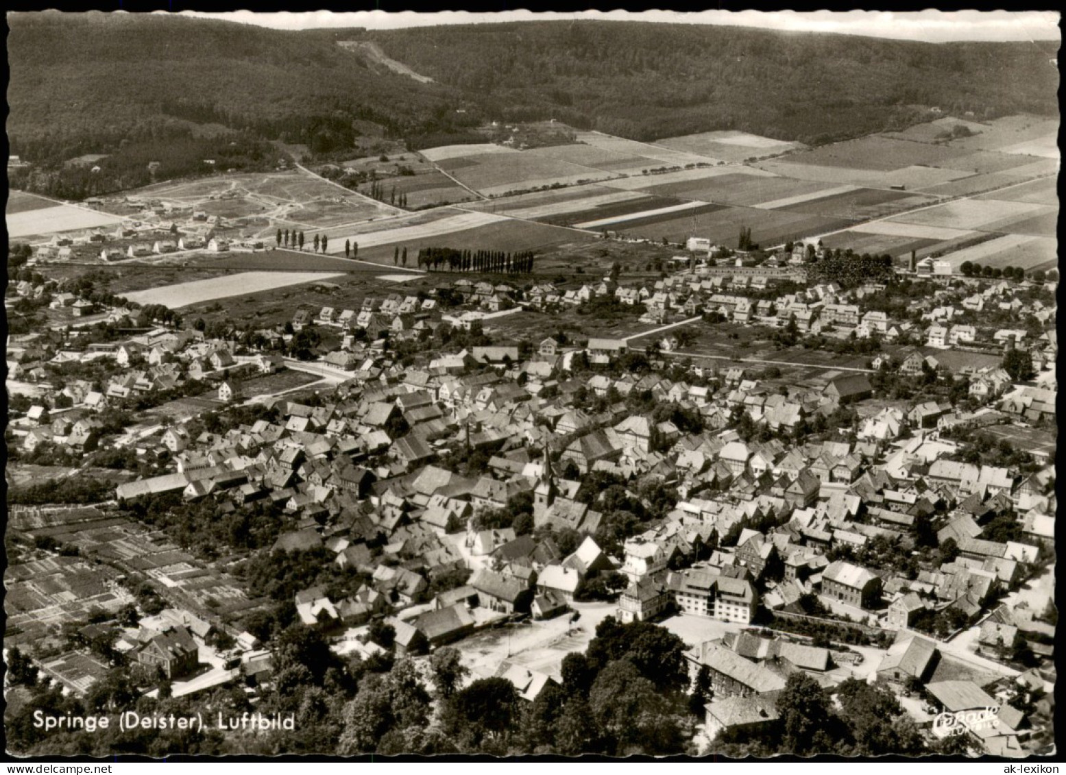 Ansichtskarte Springe Luftbild, Gesamtansicht V. Flugzeug Aus 1960 - Springe