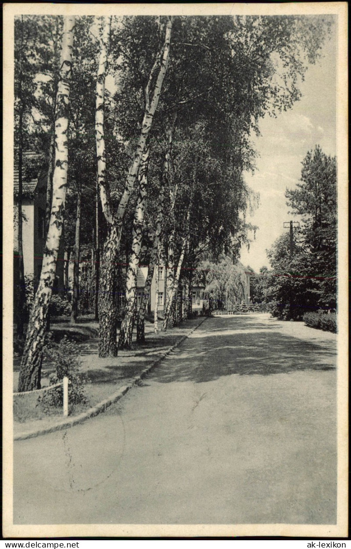 Ansichtskarte Zossen Truppenübungsplatz, Straße 1937 - Zossen