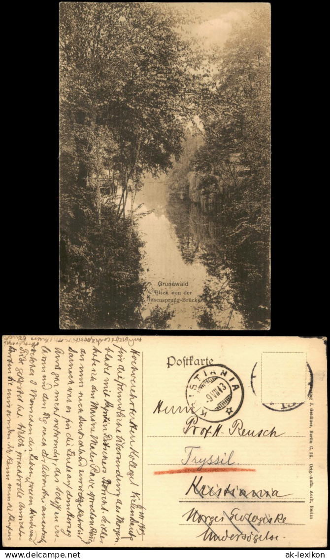 Ansichtskarte Grunewald-Berlin Blick Von Der Hasensprung-Brücke 1913 - Grunewald