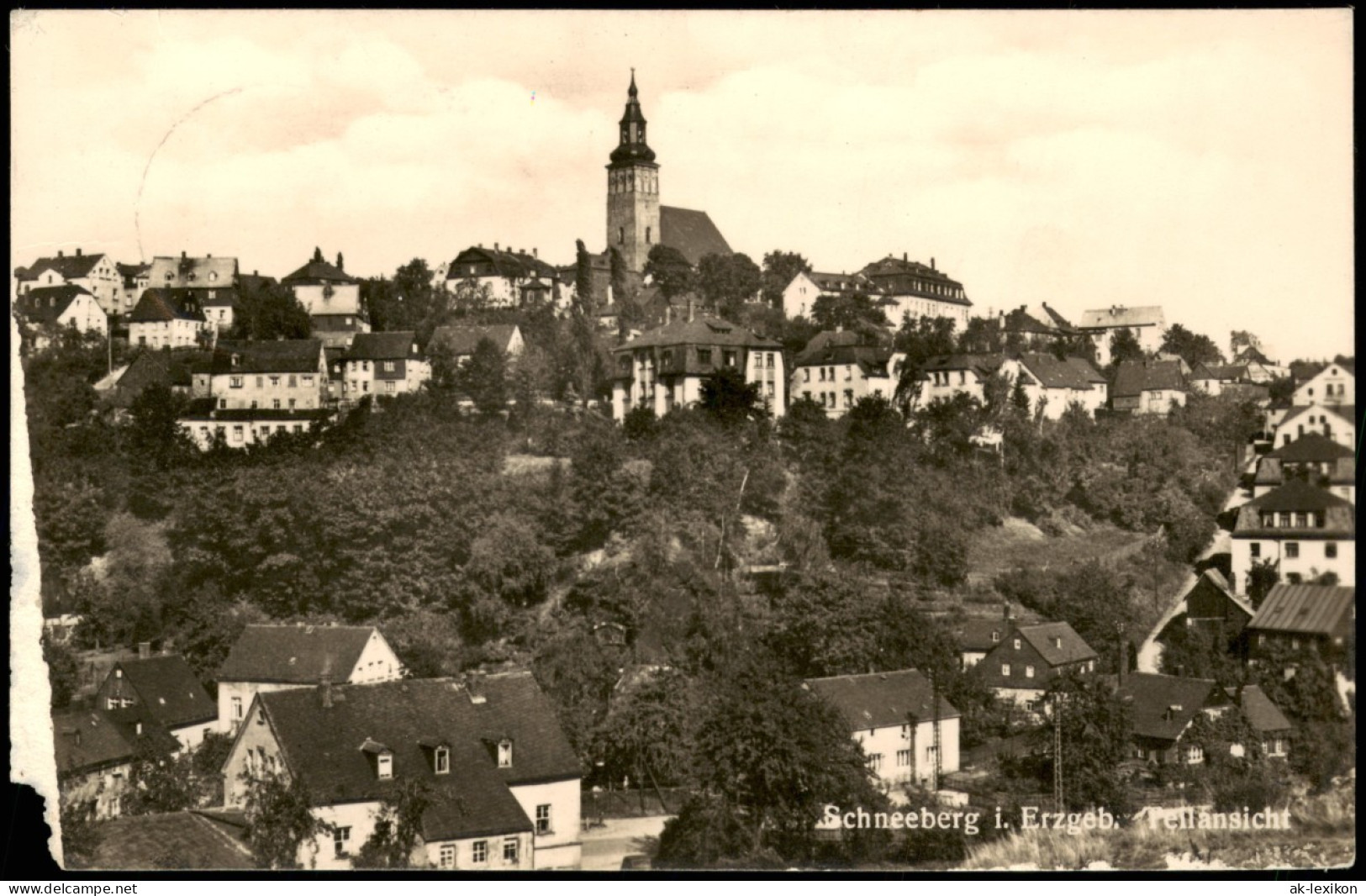 Ansichtskarte Schneeberg (Erzgebirge) Stadt 1956 - Schneeberg