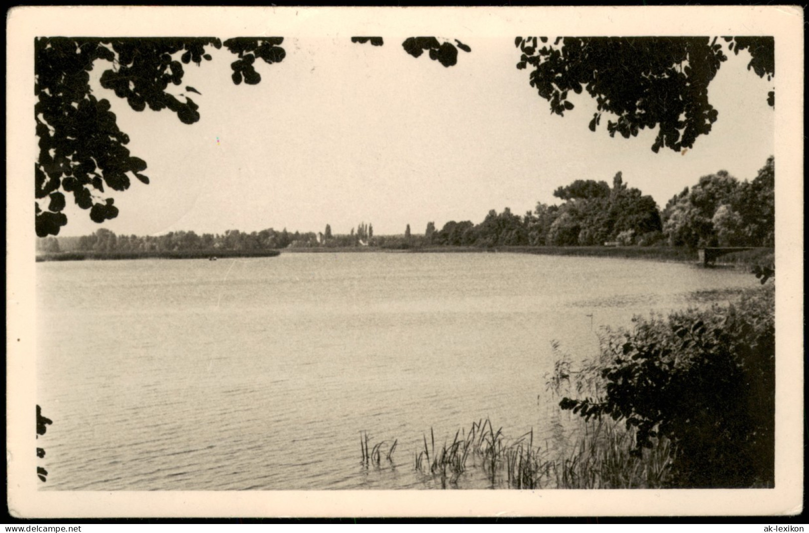 Ansichtskarte Teupitz Teupitzsee, Blick Auf Schwerin 1956 - Teupitz