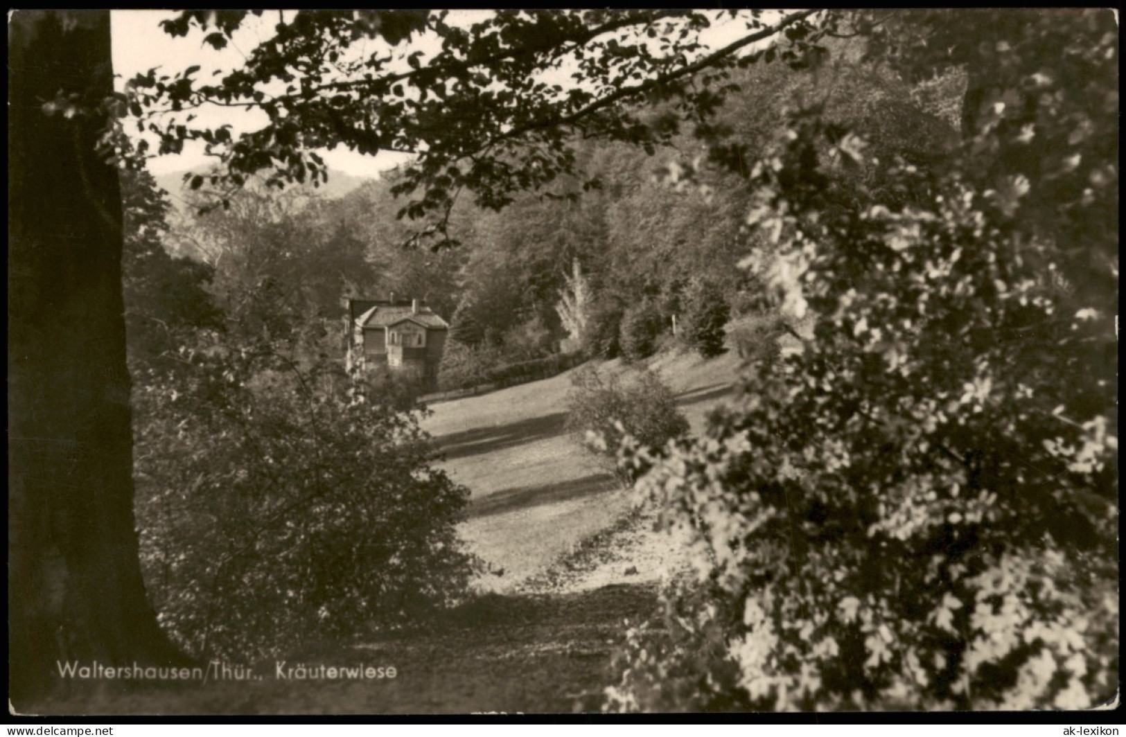 Ansichtskarte Waltershausen Kräuterwiese 1956 - Waltershausen