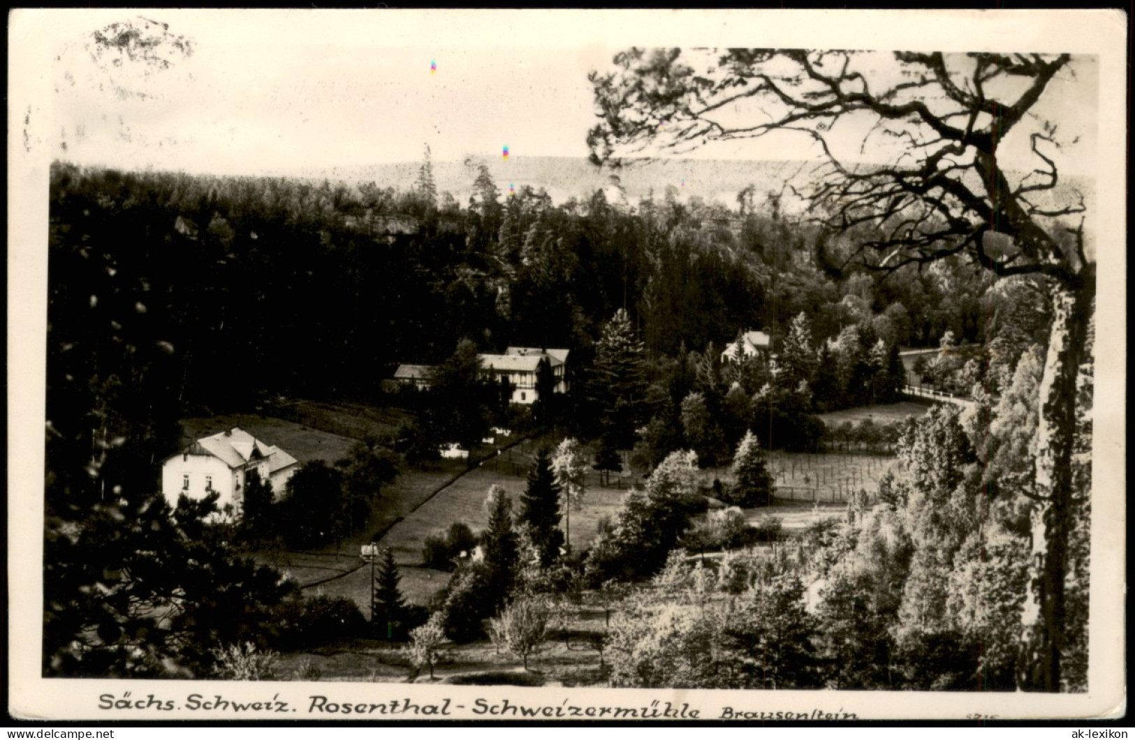 Ansichtskarte Bad Schweizermühle-Rosenthal-Bielatal Schweizermühle 1963 - Rosenthal-Bielatal