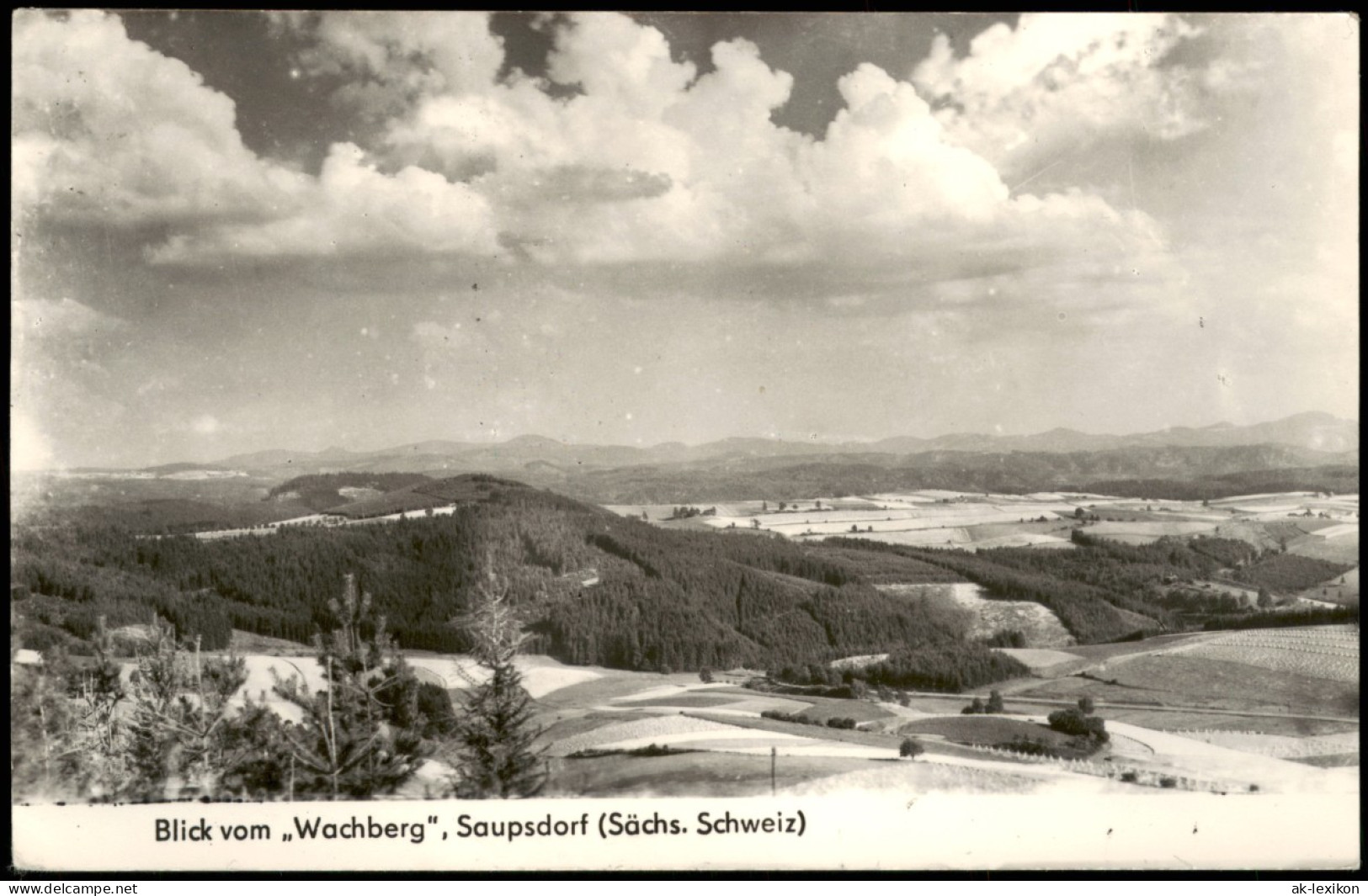 Ansichtskarte Saupsdorf-Sebnitz Blick Vom Wachberg 1960 - Kirnitzschtal