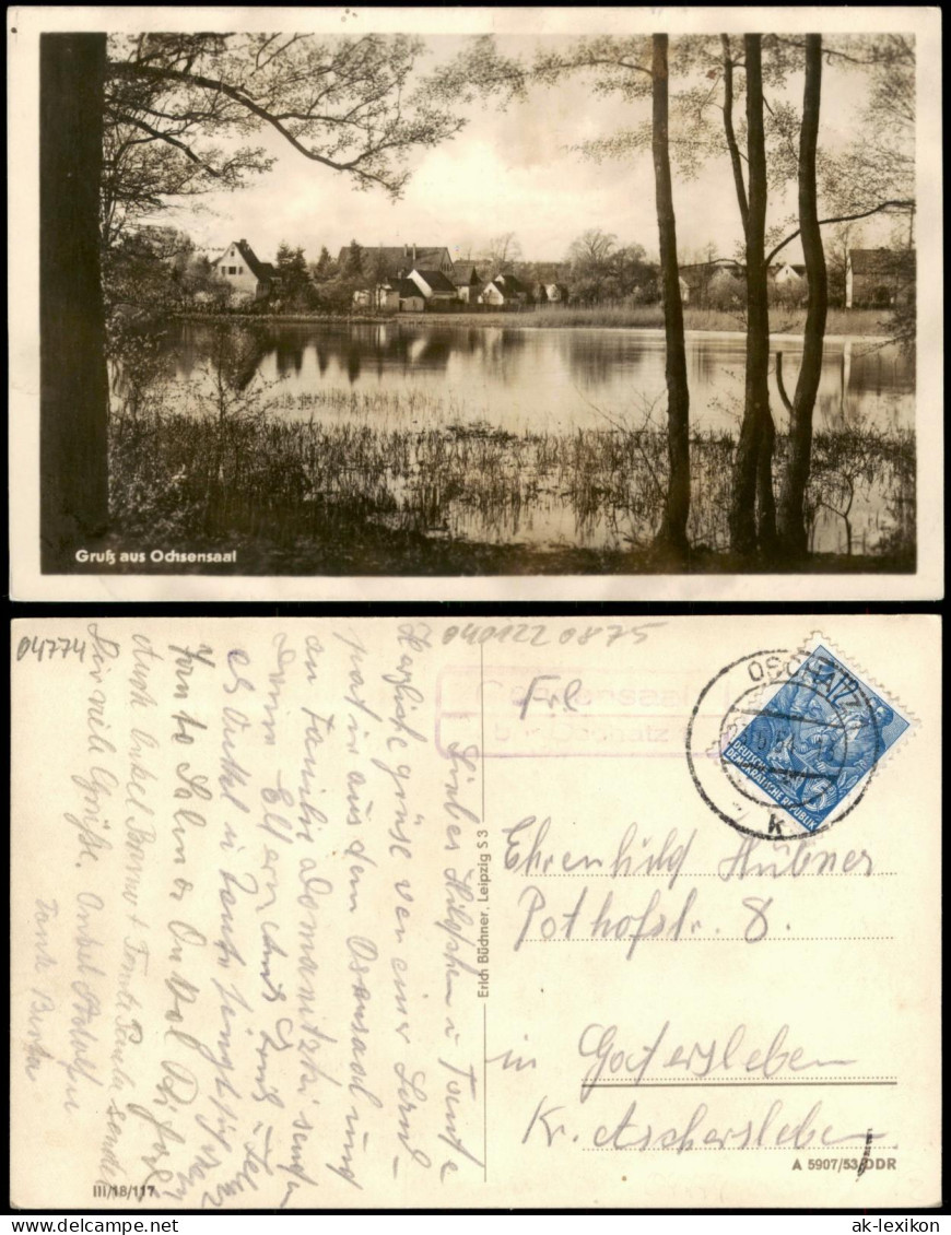 Ansichtskarte Ochsensaal-Dahlen Blick über Den Teich Auf Die Stadt 1955 - Dahlen