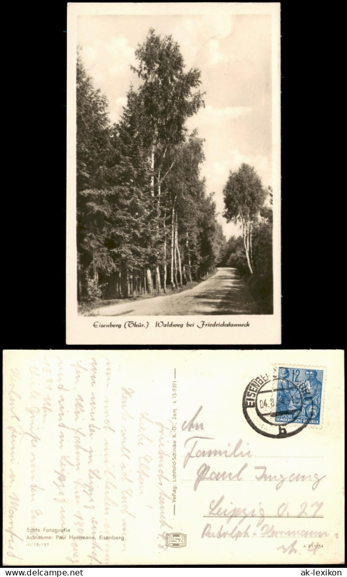 Ansichtskarte Eisenberg (Thüringen) Waldweg Bei Friedrichstanneck 1954 - Eisenberg