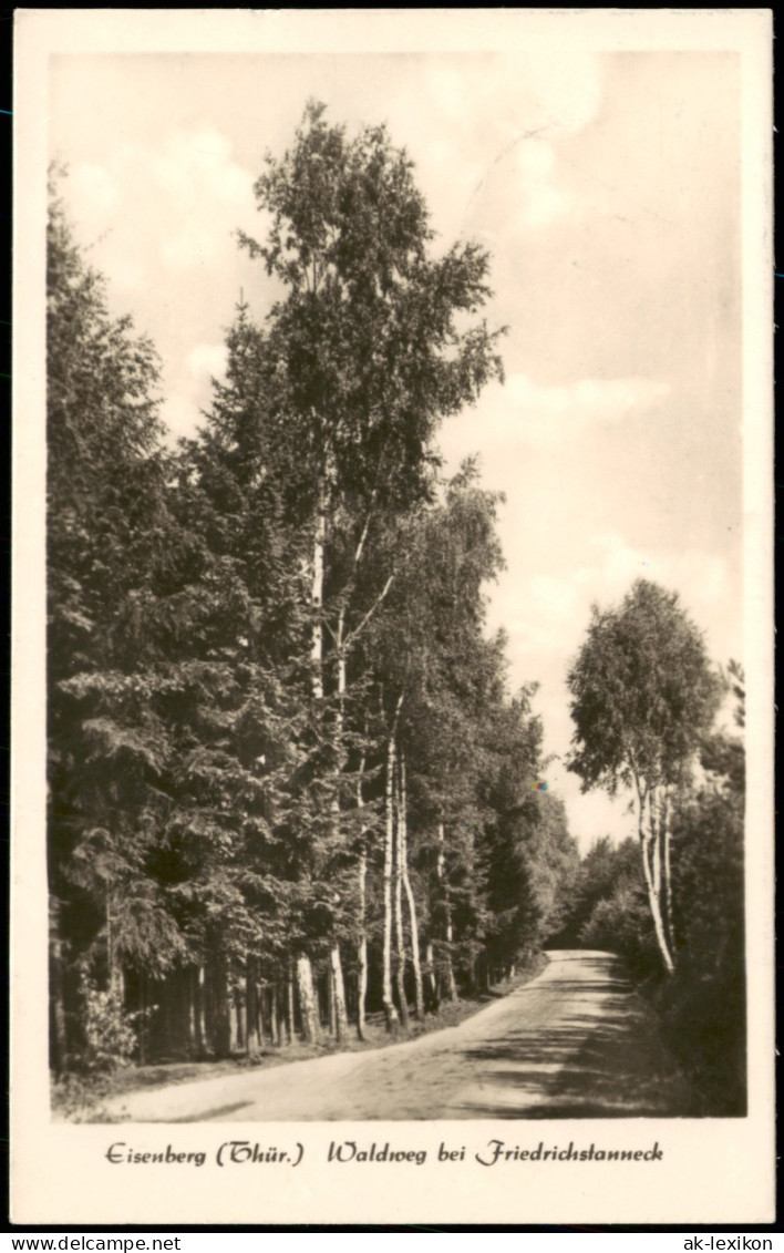 Ansichtskarte Eisenberg (Thüringen) Waldweg Bei Friedrichstanneck 1954 - Eisenberg