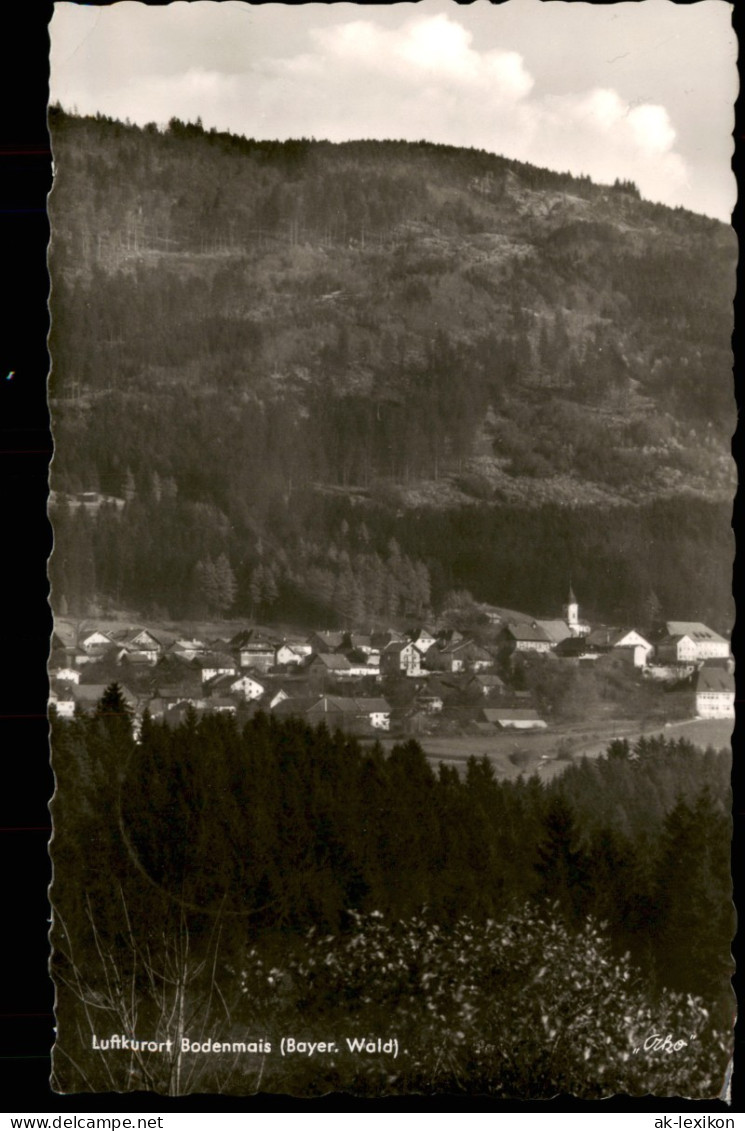 Ansichtskarte Bodenmais Blick Auf Die Stadt 1956 - Bodenmais