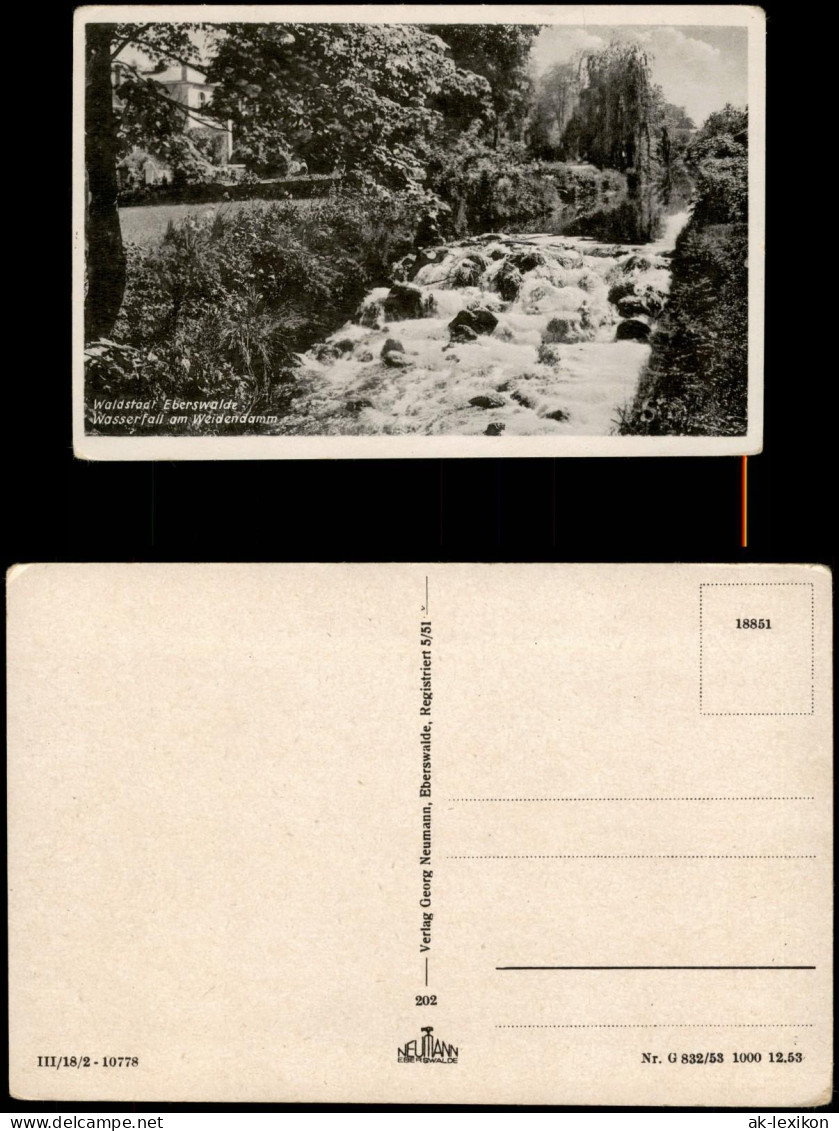 Ansichtskarte Eberswalde Wasserfall Am Weidendamm. 1953 - Eberswalde