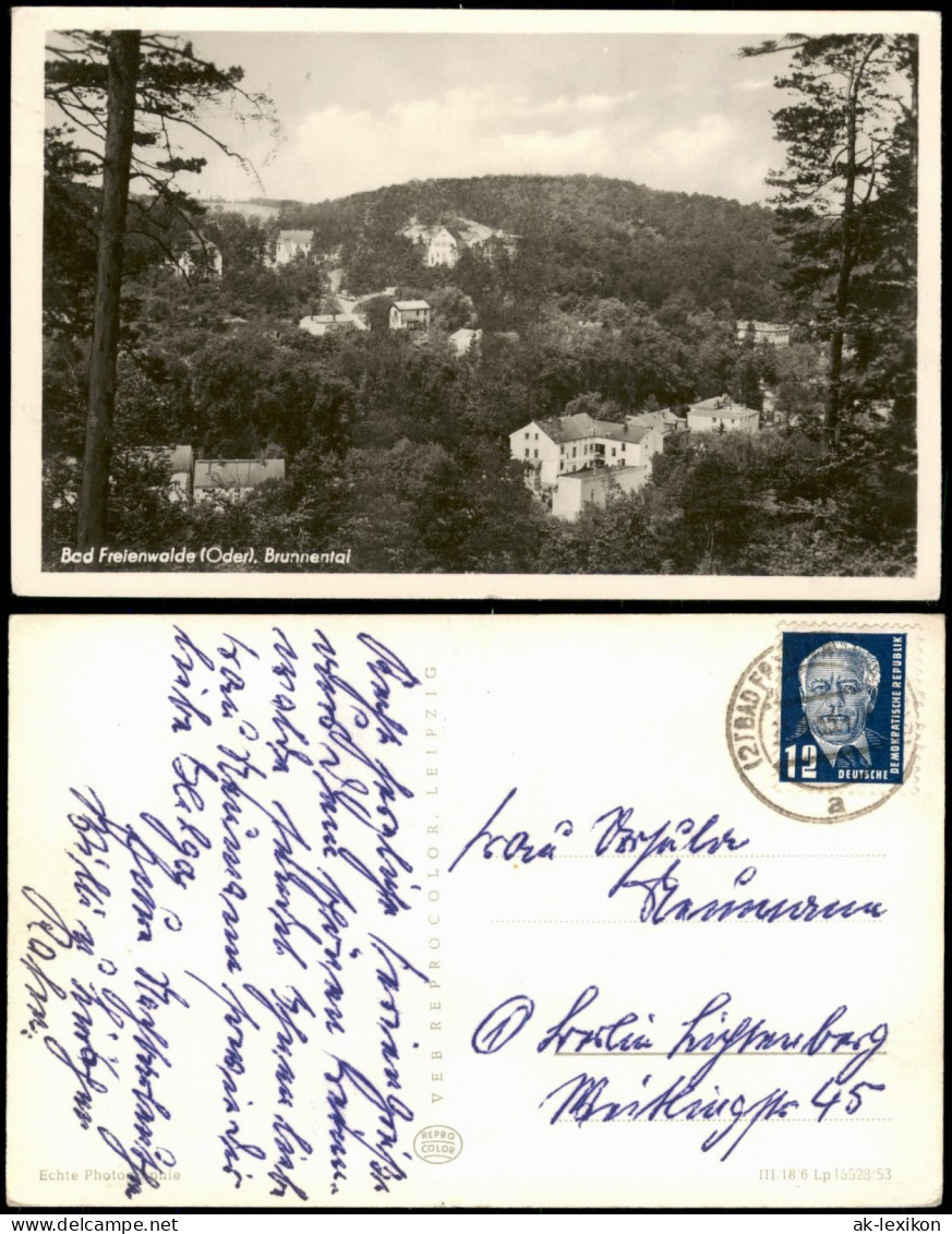 Ansichtskarte Bad Freienwalde Teilansicht Blick Ins Brunnental 1955 - Bad Freienwalde