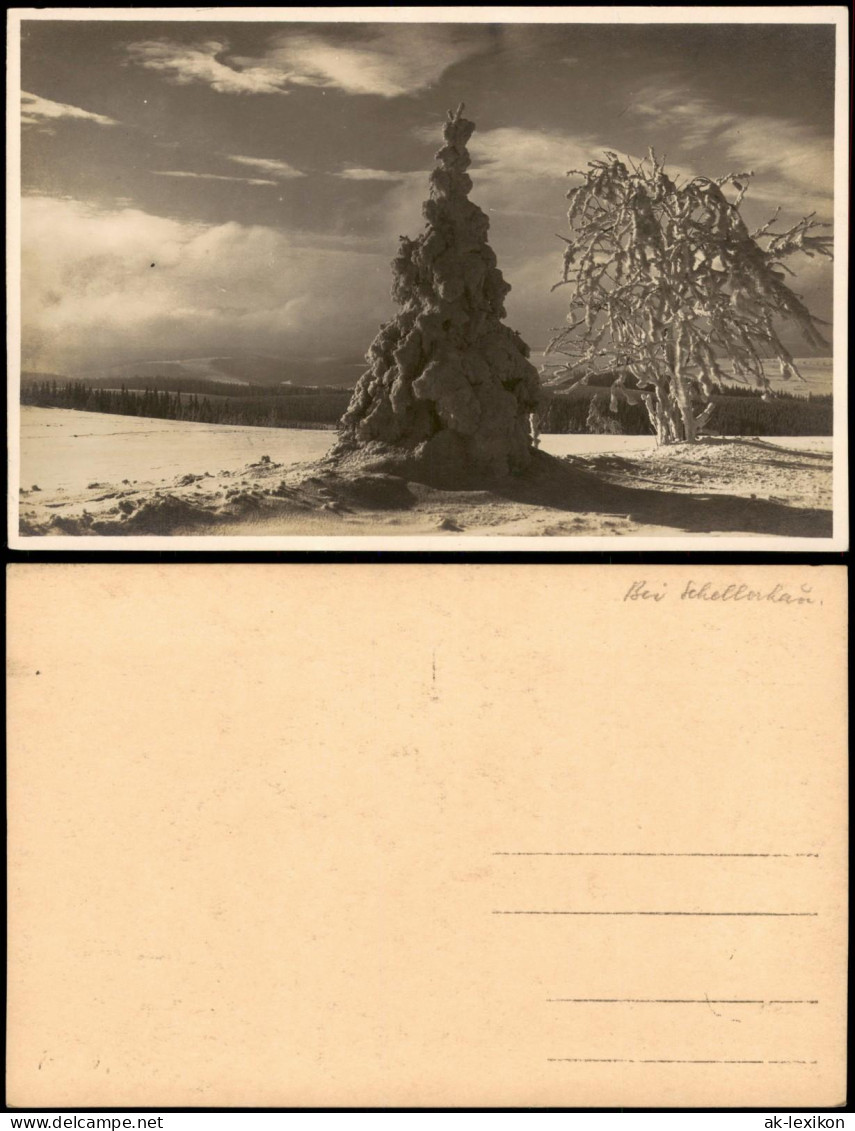 Schellerhau-Altenberg (Erzgebirge) Stimmungsbild Im Winter 1927 Privatfoto - Schellerhau