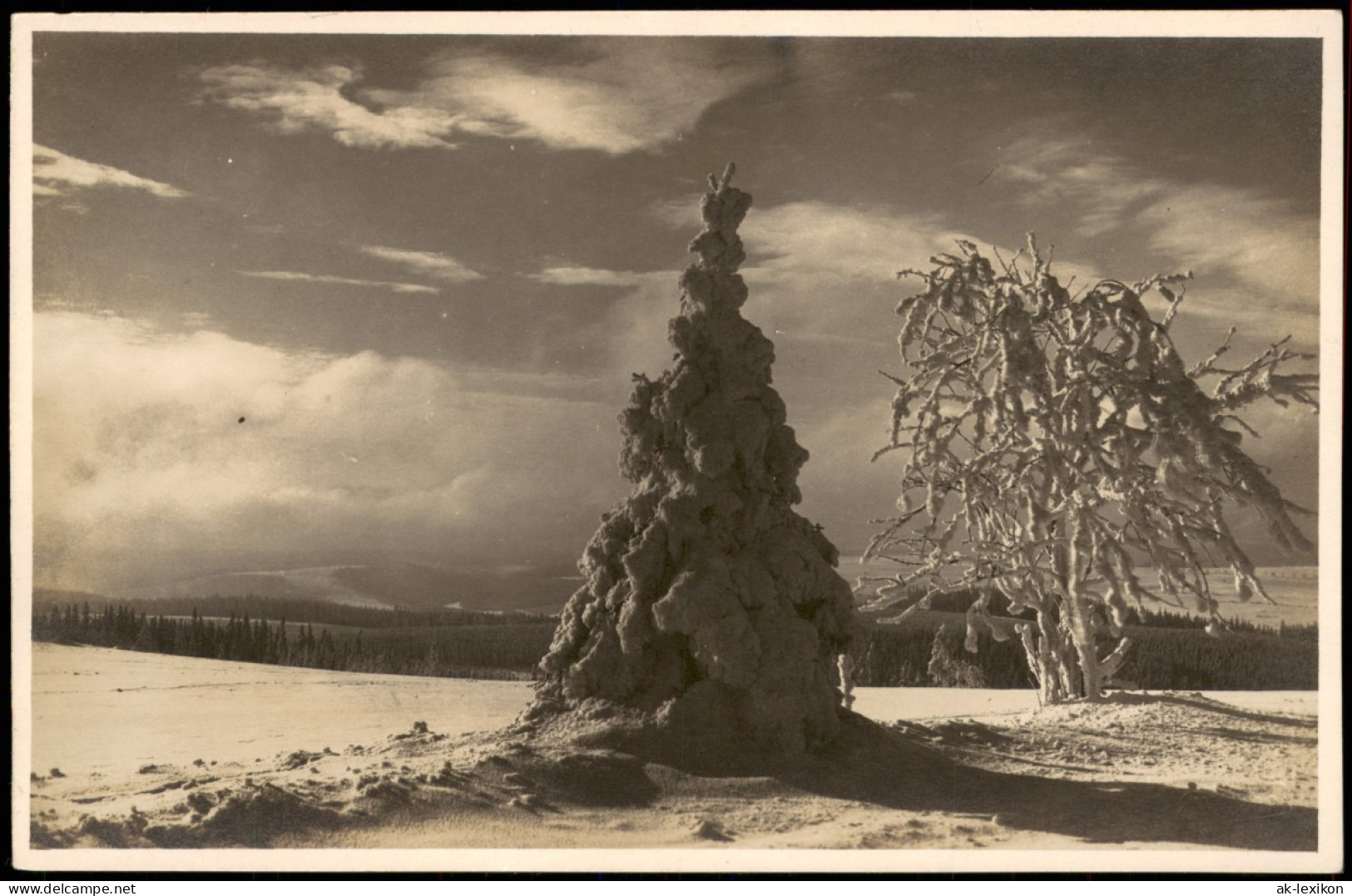 Schellerhau-Altenberg (Erzgebirge) Stimmungsbild Im Winter 1927 Privatfoto - Schellerhau