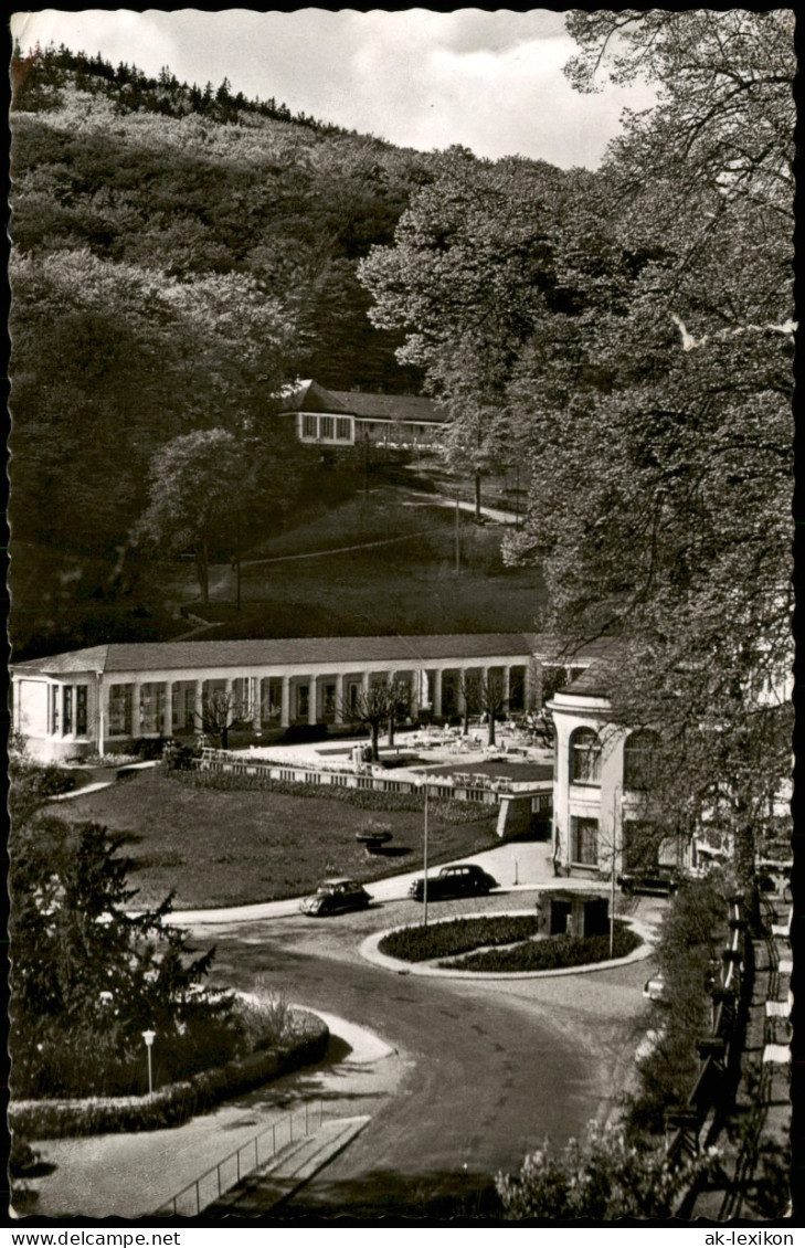 Ansichtskarte Schlangenbad Partie Im Kurgarten 1958 - Schlangenbad