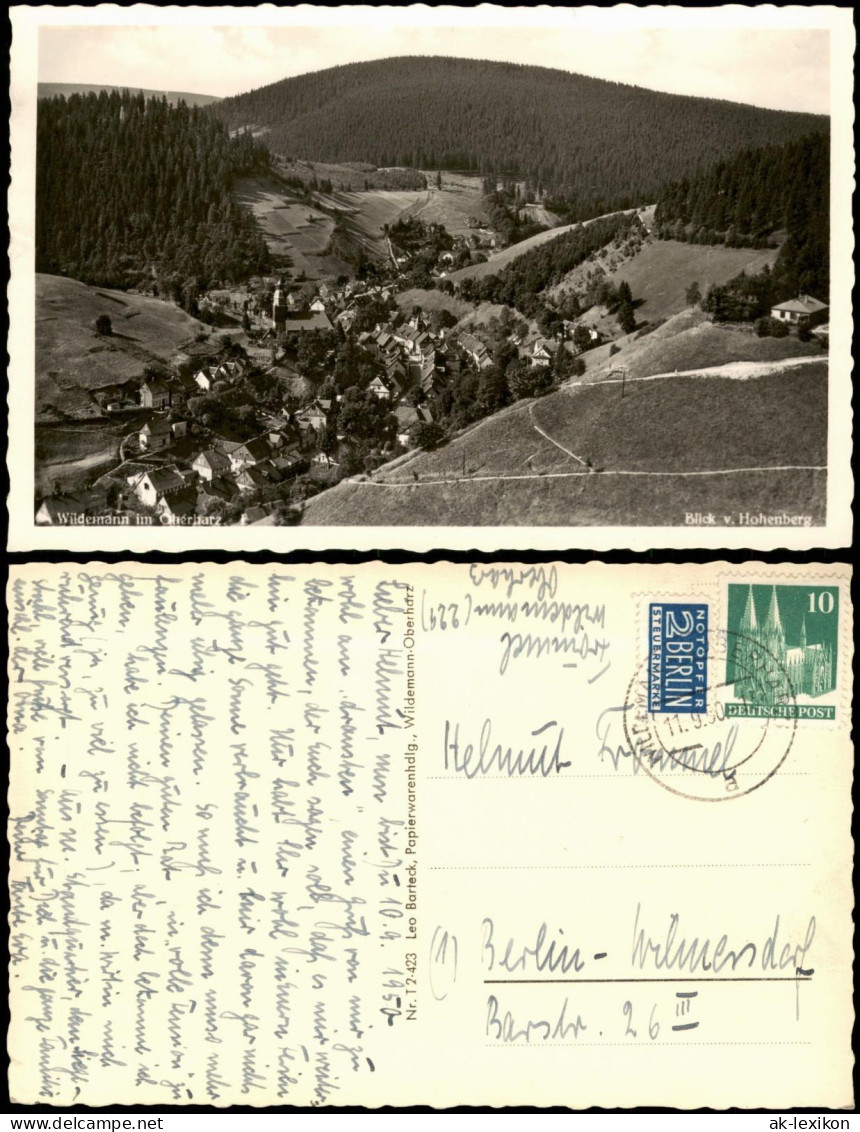 Ansichtskarte Wildemann (Innerstetal) Blick Vom Hohenberg 1960 - Wildemann