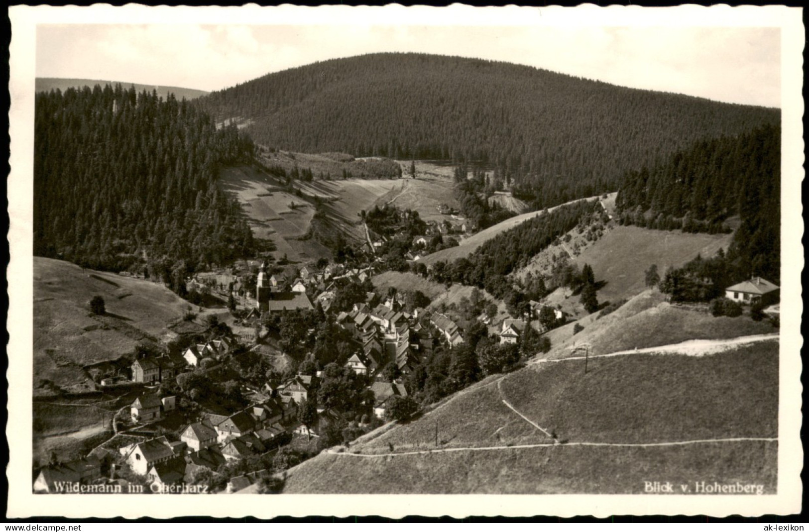 Ansichtskarte Wildemann (Innerstetal) Blick Vom Hohenberg 1960 - Wildemann
