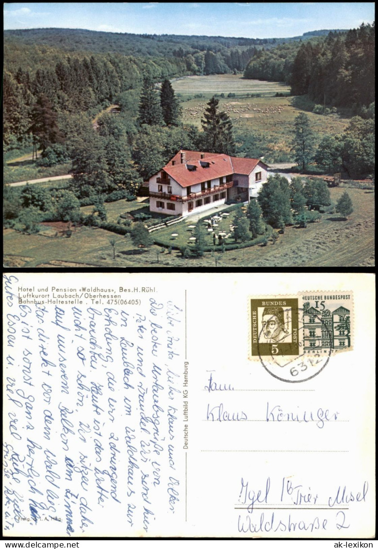 Ansichtskarte Laubach (Hessen) Luftbild Hotel Und Pension Waldhaus 1966 - Laubach