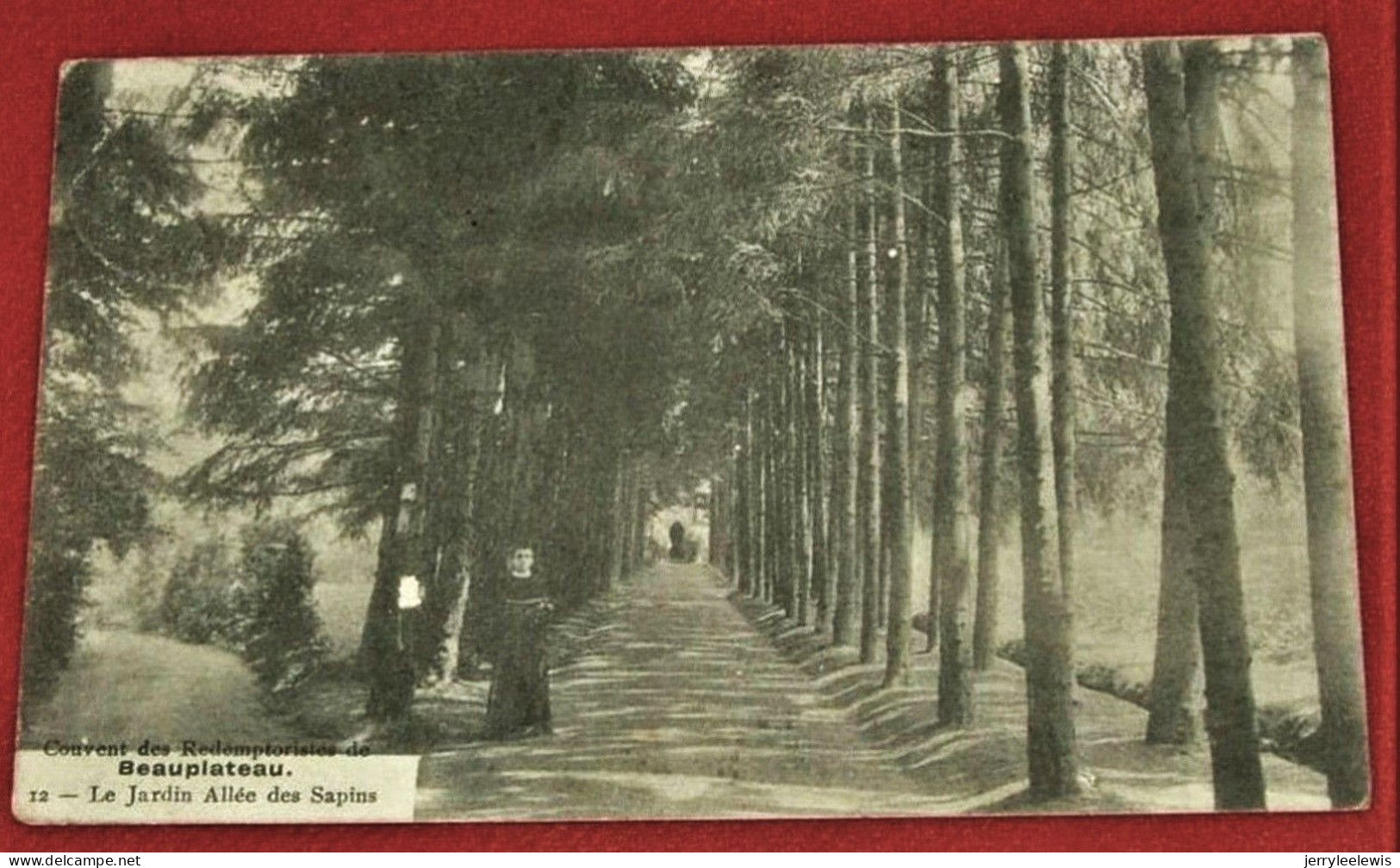 BEAUPLATEAU - SAINTE-ODE   - Couvent Des Rédemptoristes - Le Jardin Allée Des Sapins - Sainte-Ode