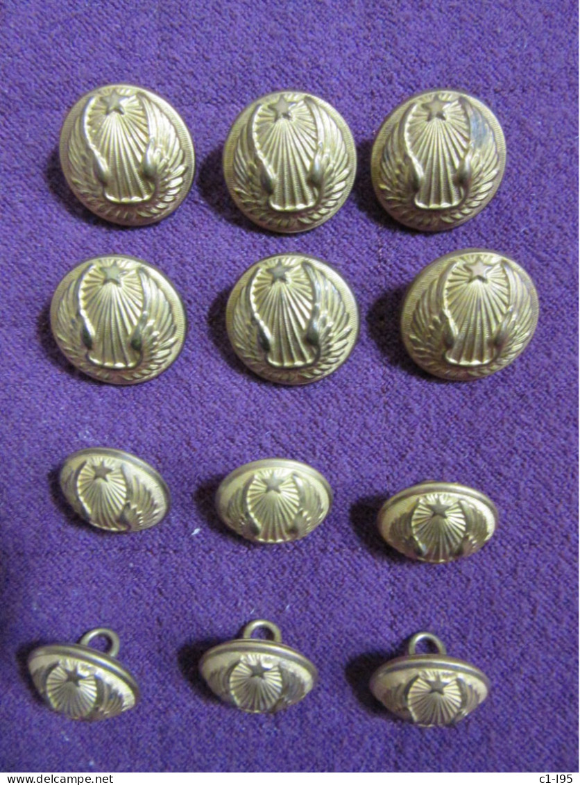 Bouton De L'Armée De L'Air Lot - Buttons