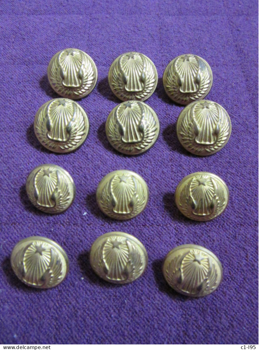 Bouton De L'Armée De L'Air Lot - Boutons