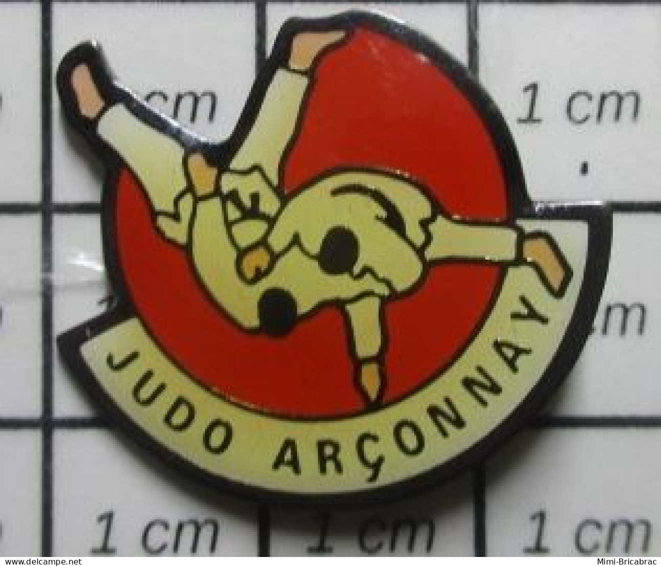 715B Pin's Pins / Beau Et Rare / SPORTS / CLUB JUDO ORNE ARCONNAY - Judo