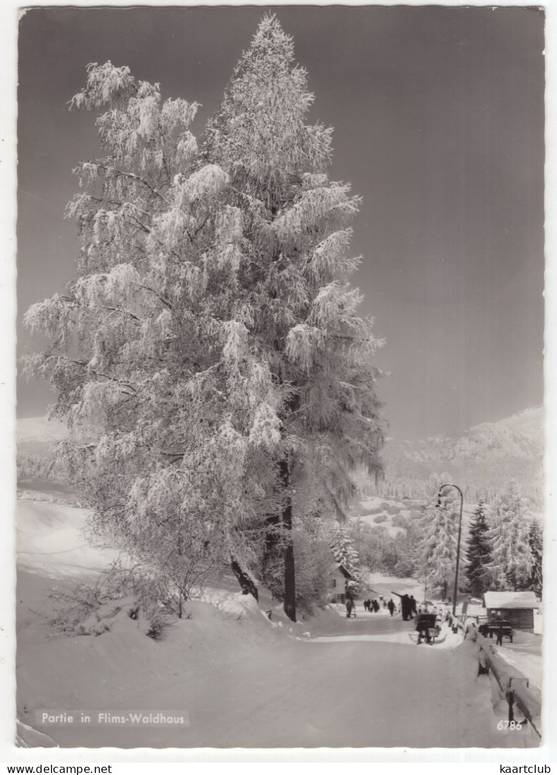 Partie In Flims-Waldhaus - (Suisse/Schweiz) - 1962 - Ski - Flims