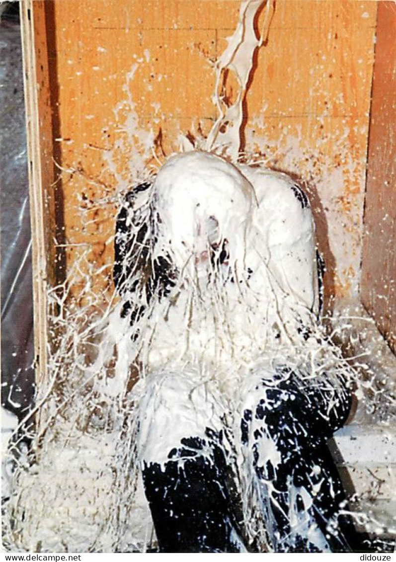 Irlande - Cork - Winner Of The Young Photographer Of The Year 1999 - Title: Gunge Time - By John Wallace - Ireland - CPM - Cork