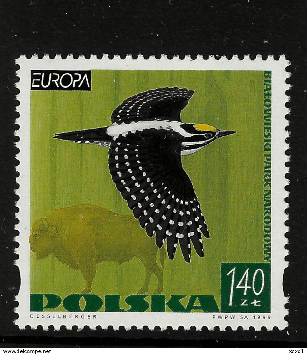 Poland 1999 MiNr. 3763 Polen Birds, Eurasian Three-toed Woodpecker EUROPA CEPT 1v MNH**  1.50 € - 1999