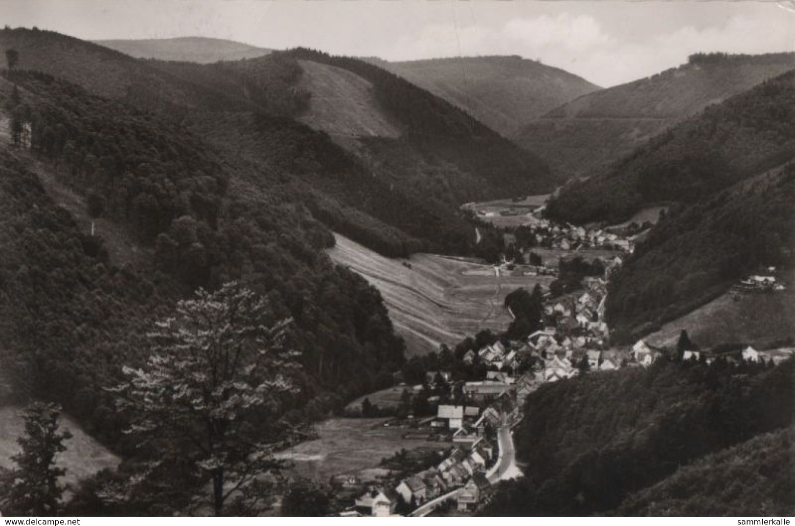 38257 - Herzberg-Sieber - Blick Vom Lilienberg - 1960 - Herzberg