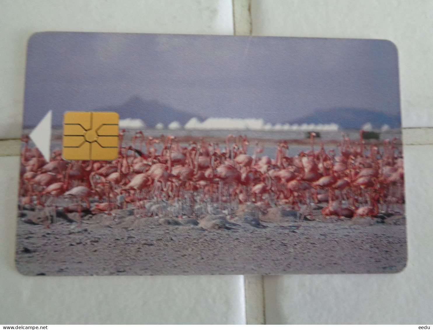 Bonaire Phonecard - Antilles (Neérlandaises)
