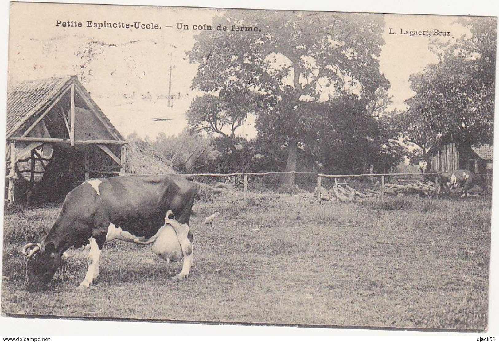 Belgique / Petite Espinette-Uccle - Un Coin De Ferme - 1910 / Vache Laitière - Uccle - Ukkel