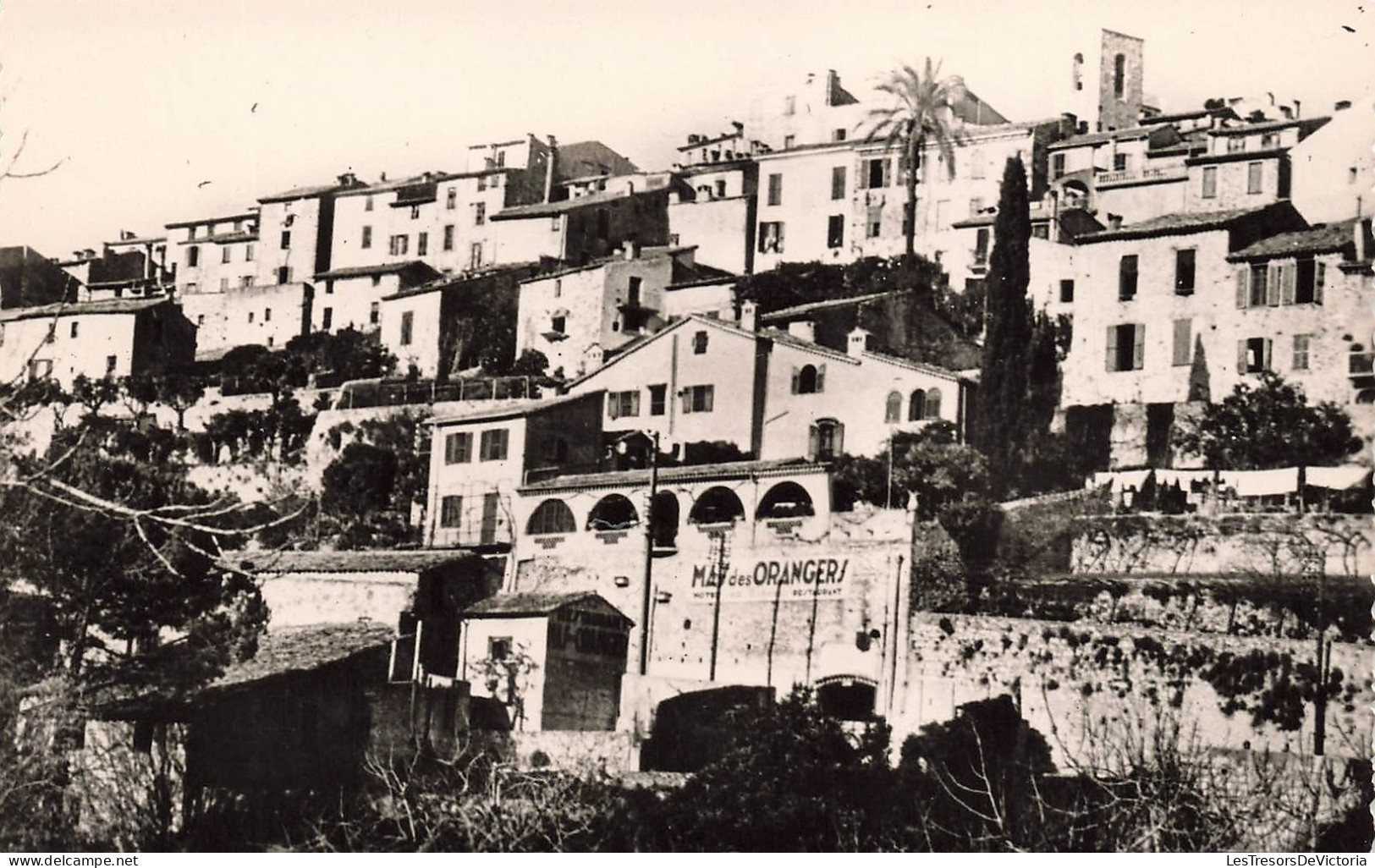 FRANCE - Biot (A M) - Vue D'ensemble De La Ville - Plusieurs Maisons - Carte Postale Ancienne - Biot