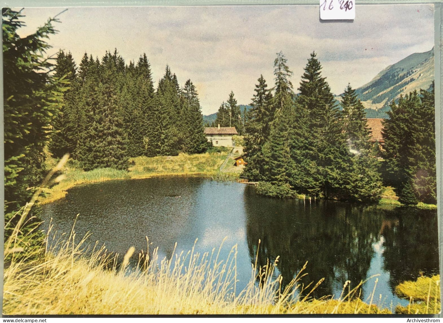 Le Lac Des Joncs (alt. 1236 M) (16'210) - Châtel-Saint-Denis