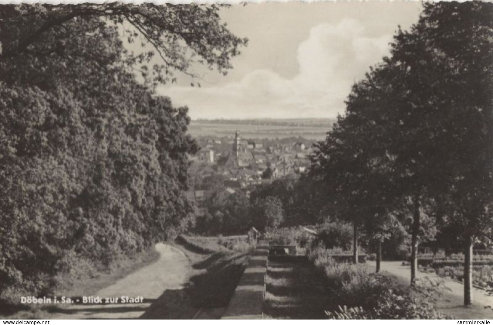 125781 - Döbeln - Blick Zur Stadt - Doebeln