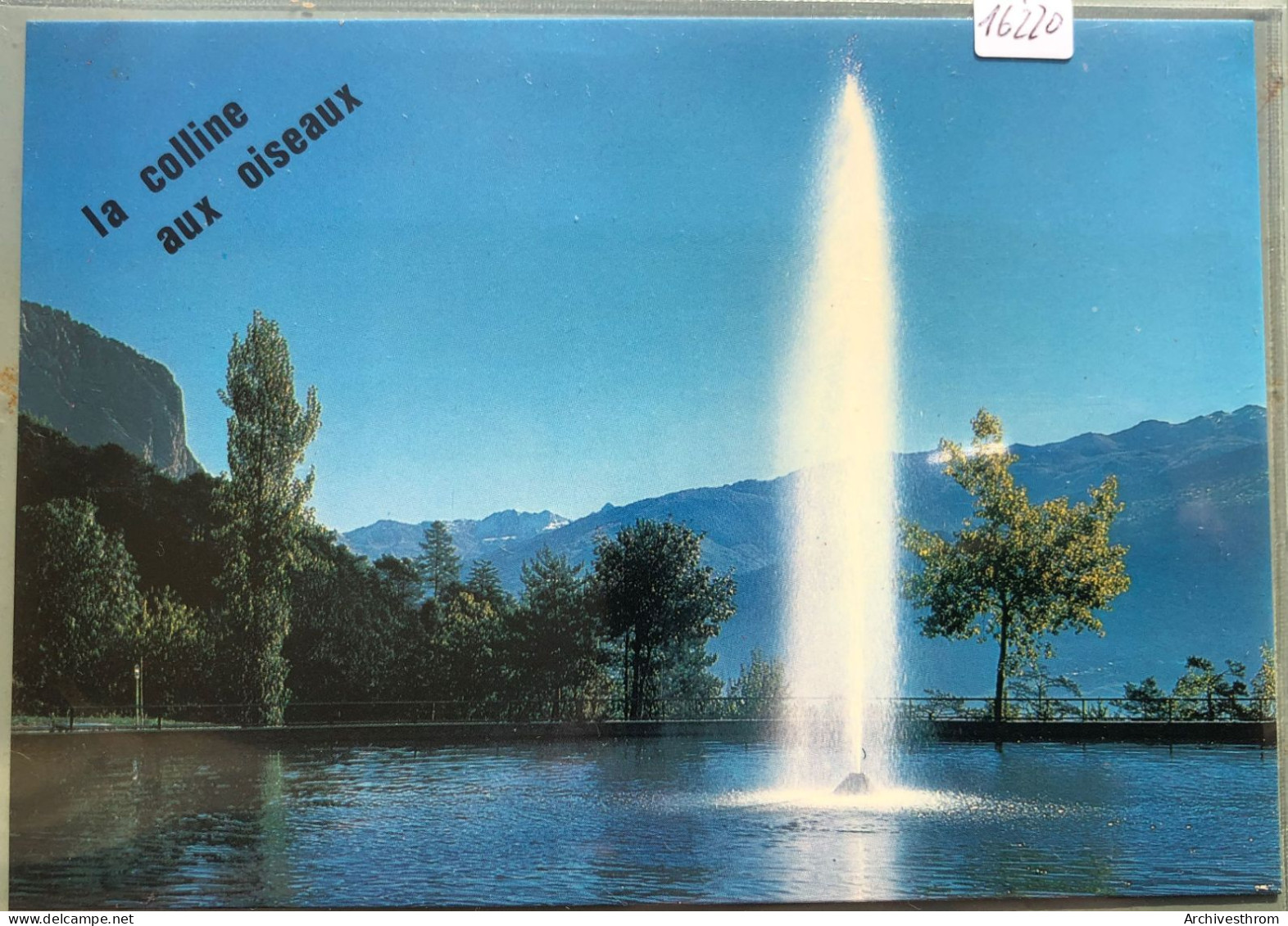 Le Jet D'eau De Chamoson ; Chez Tip-Top (16'220) - Chamoson