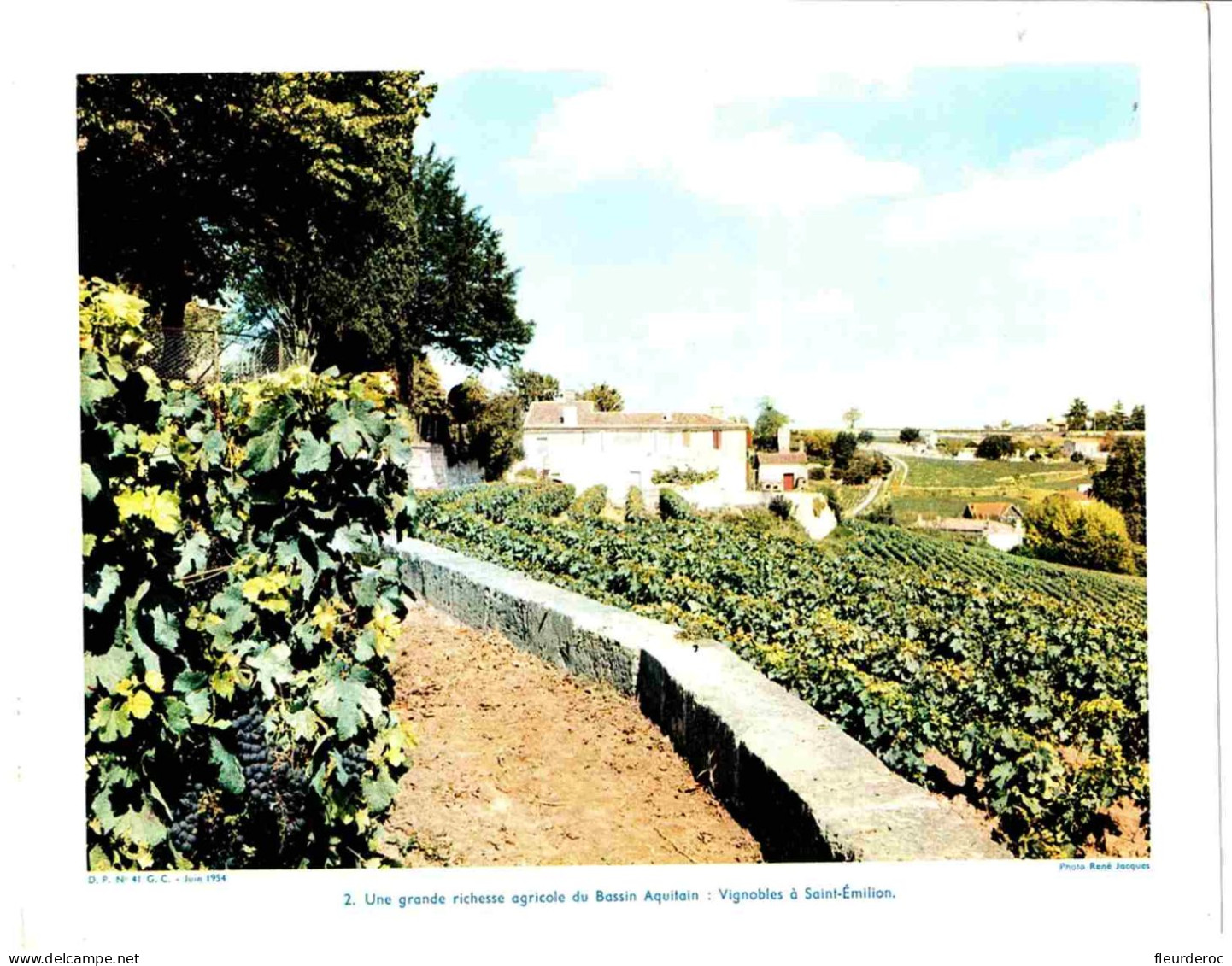 33 - PAP58543PAP - SAINT EMILION - En 1954 - Vignobles, Grande Richesse Du Bassin Aquitain - Très Bon état - GIRONDE - Altri & Non Classificati