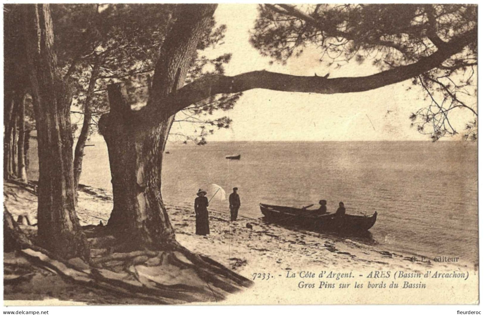 33 - B58703CPA - ARES - La Côte D'Argent - Gros Pins Sur Les Bords Du Bassin - Très Bon état - GIRONDE - Arès