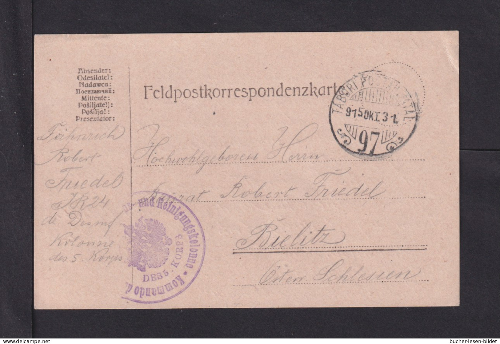 1915 - Feldpoststempel "K.u.k. ... Reinigungskolonne"  - Feldpostkarte - Malattie