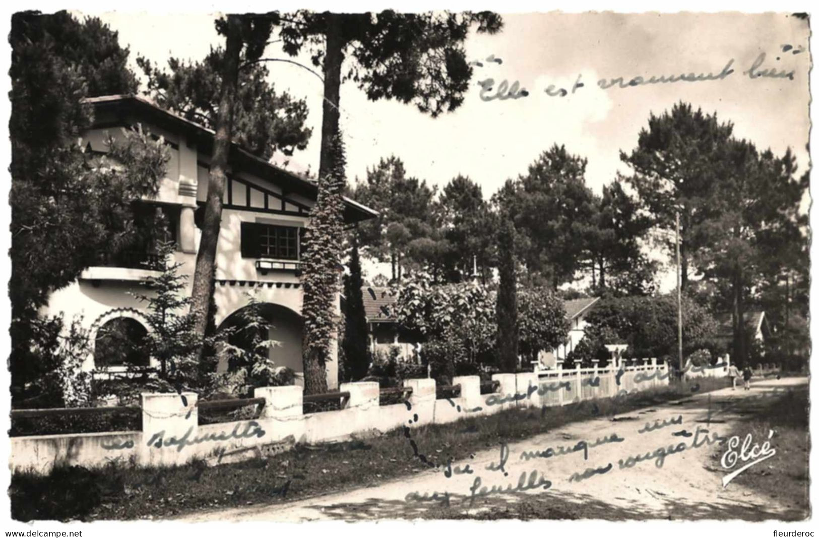 33 - B58706CPSM - ARES - Allée De Saint Brice Et Les Jolies Villas Dans La Forêt - Très Bon état - GIRONDE - Arès