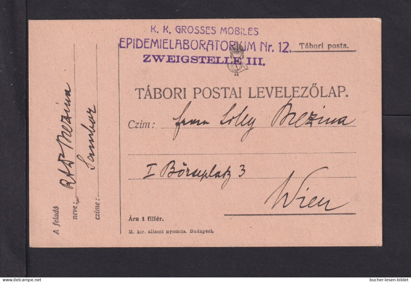 1917 - Feldpoststempel "K.u.k.  ..Mobiles Epidemielaboratorium Nr. 12.."  - Feldpostkarte - Malattie
