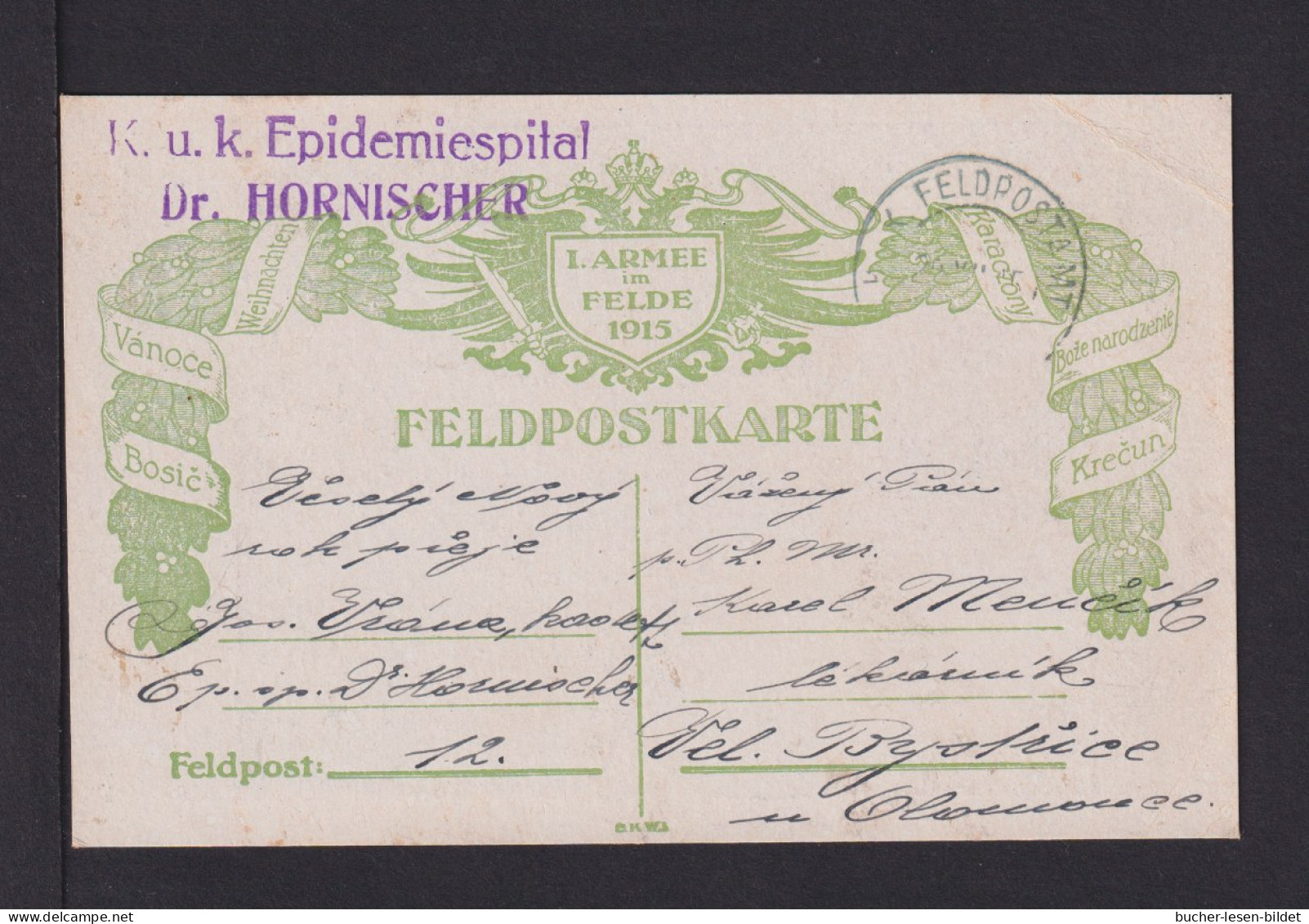 1917 - Feldpoststempel "K.u.k. Mob.Epidemiespital Dr Hornischer" - Feldpostkarte - Malattie