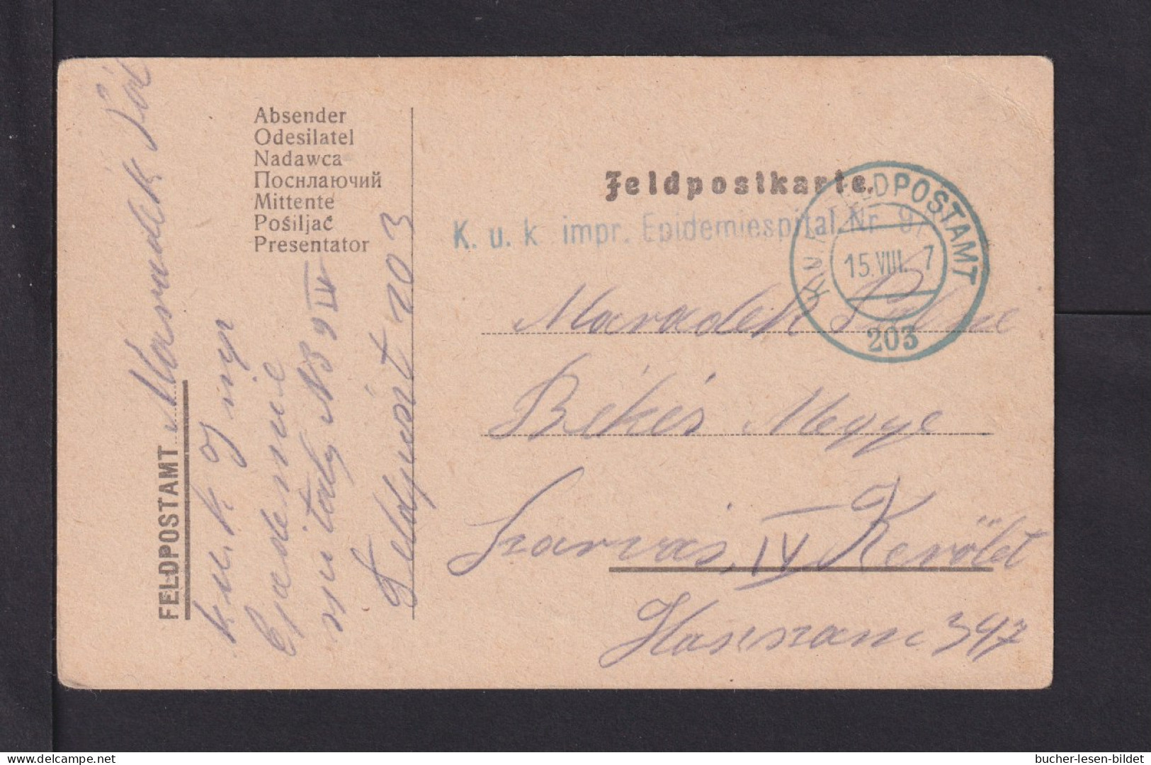 1917 - Feldpoststempel "K.u.k. Impr. Epidemiespital Nr. 9/IV2 - Feldpostkarte - Malattie